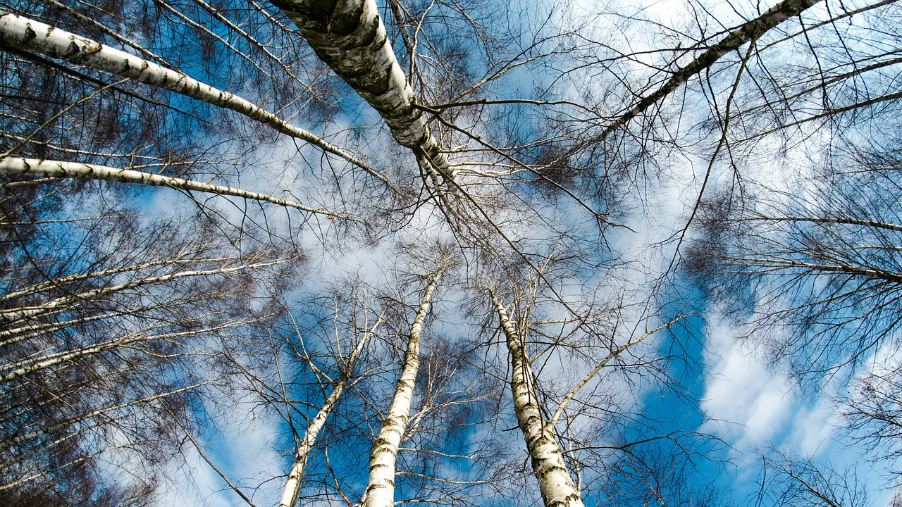 Lebenshaus – was mir als Architektin meines Lebens hilft