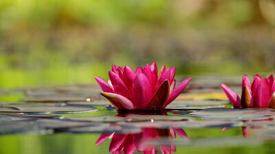 Engel haben viele Gesichter, am schönsten sind sie, wenn sie lachen.