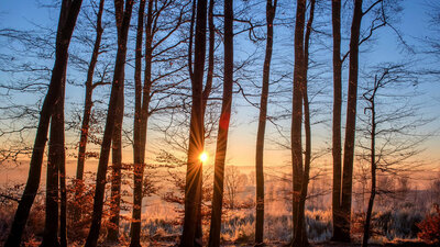 Neues im Vater unser