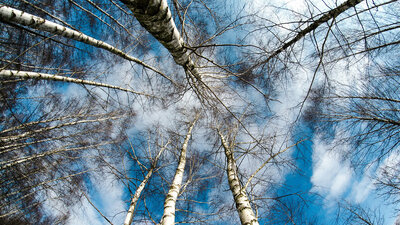 Leben heißt entscheiden